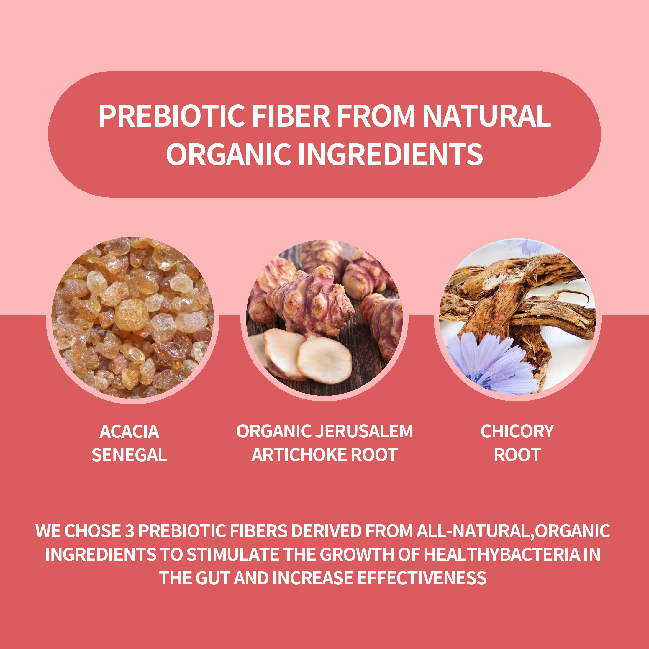 Probiotics with 36 Strains, a Three-in-one Probiotic Product Containing Prebiotics and Enzymes