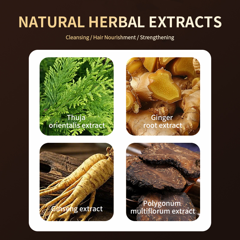 Oil-Control & Anti-Dandruff Strengthens Roots, Nourishes Hair & Prevents Hair Loss Refreshing Anti-Hair Loss Formula Shampoo