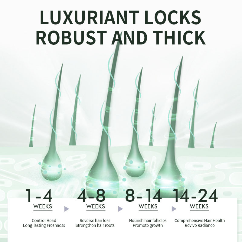 Hair Root Fixation & Deep Cleansing Business Grade Care Anti Hair Loss and Fixation Shampoo 300ml for Weakened Hair & Hair Loss