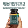 Healthcontains Strains. It Is a Supplement in Capsule Form That Is Beneficial to Gut Health and Can Support the Immune System.