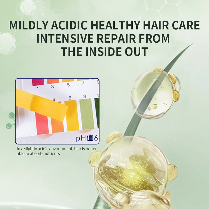 Hair Root Fixation & Deep Cleansing Business Grade Care Anti Hair Loss and Fixation Shampoo 300ml for Weakened Hair & Hair Loss