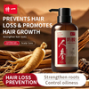 Strengthen Roots Thicken Hair Control Oil Add Volume Refresh Scalp Ginseng Anti-Hair Loss Shampoo 400ML Cream Formula