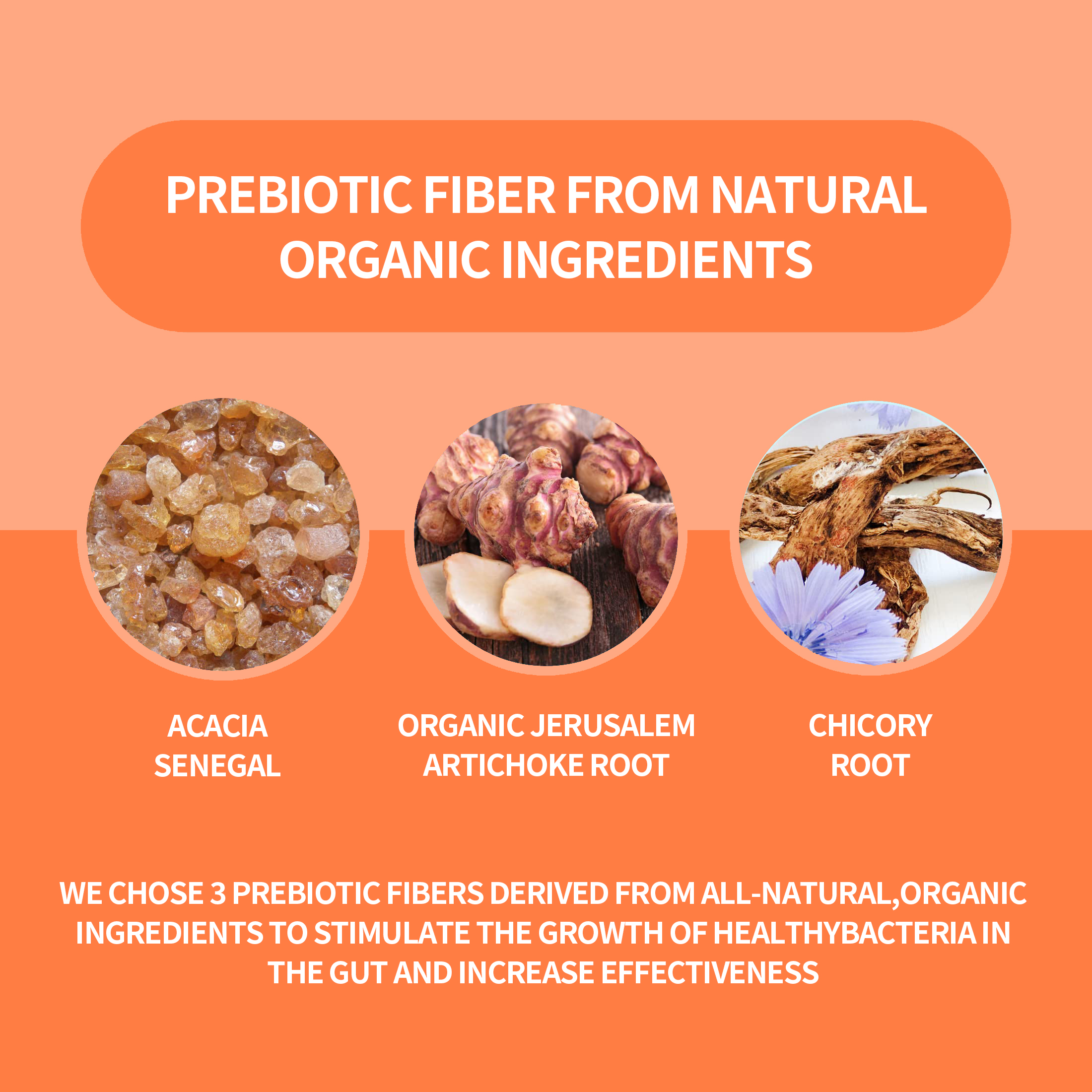 Daily Probiotic Supplement with 40 Billion CFU (colony-forming Units) - a Complex Formula for Gut Health