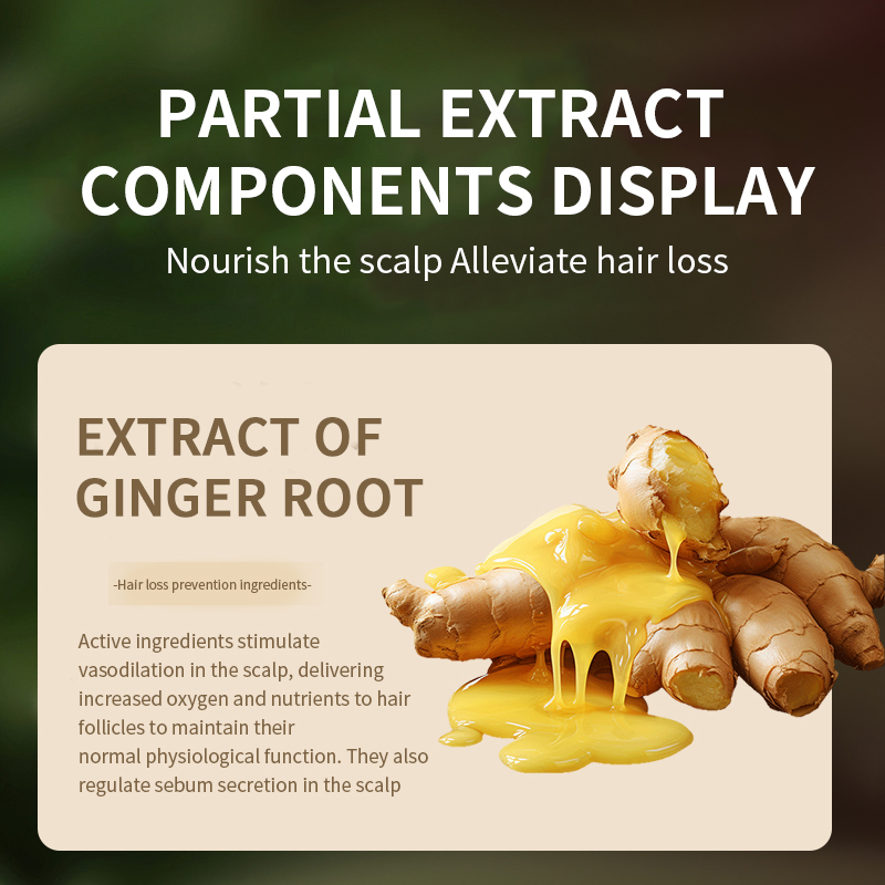 Teyi Customised 300ml Ginger Hair Growth Shampoo Strengthening Roots Dandruff Control and Oil Regulation Hair Loss Prevention