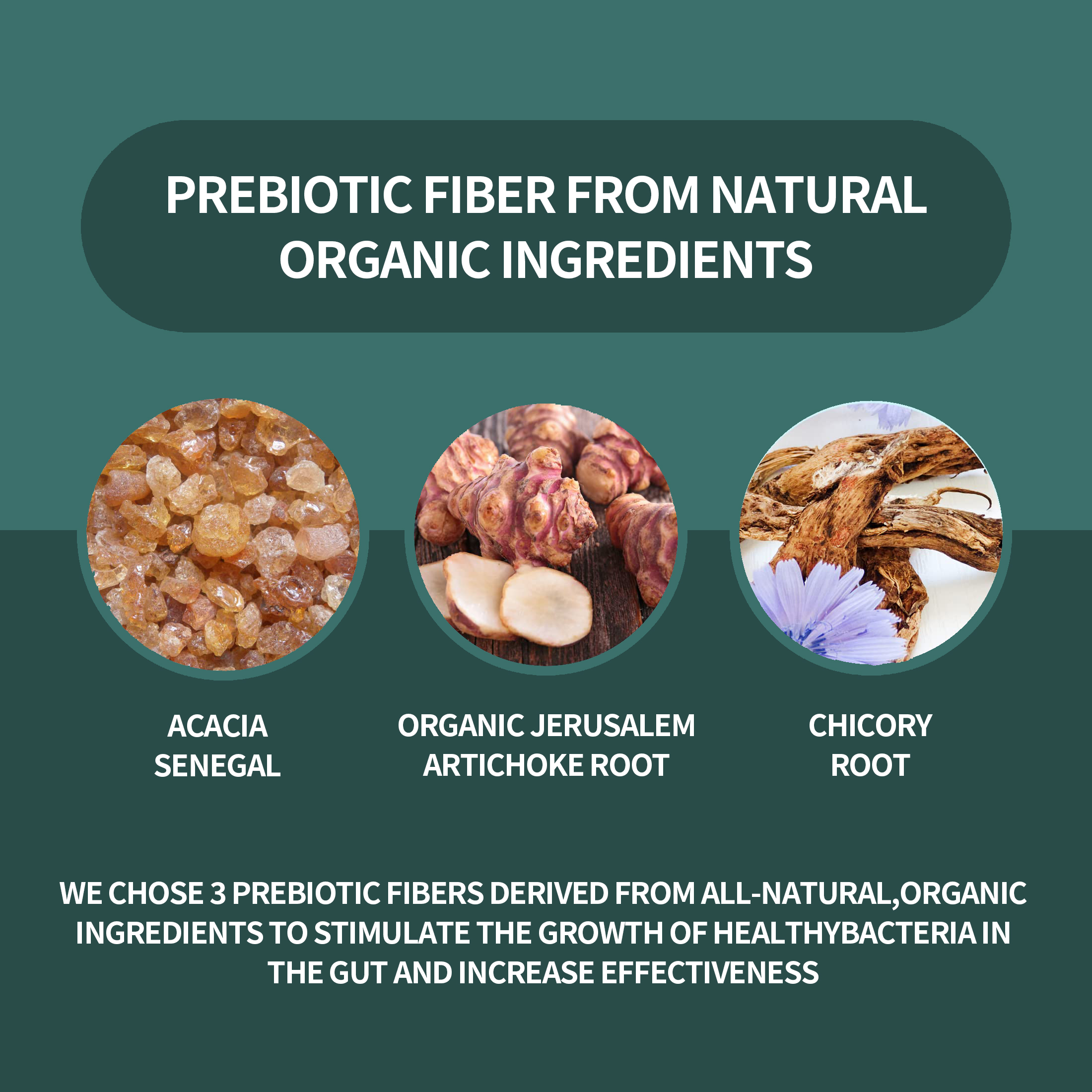 Healthcontains Strains. It Is a Supplement in Capsule Form That Is Beneficial to Gut Health and Can Support the Immune System.