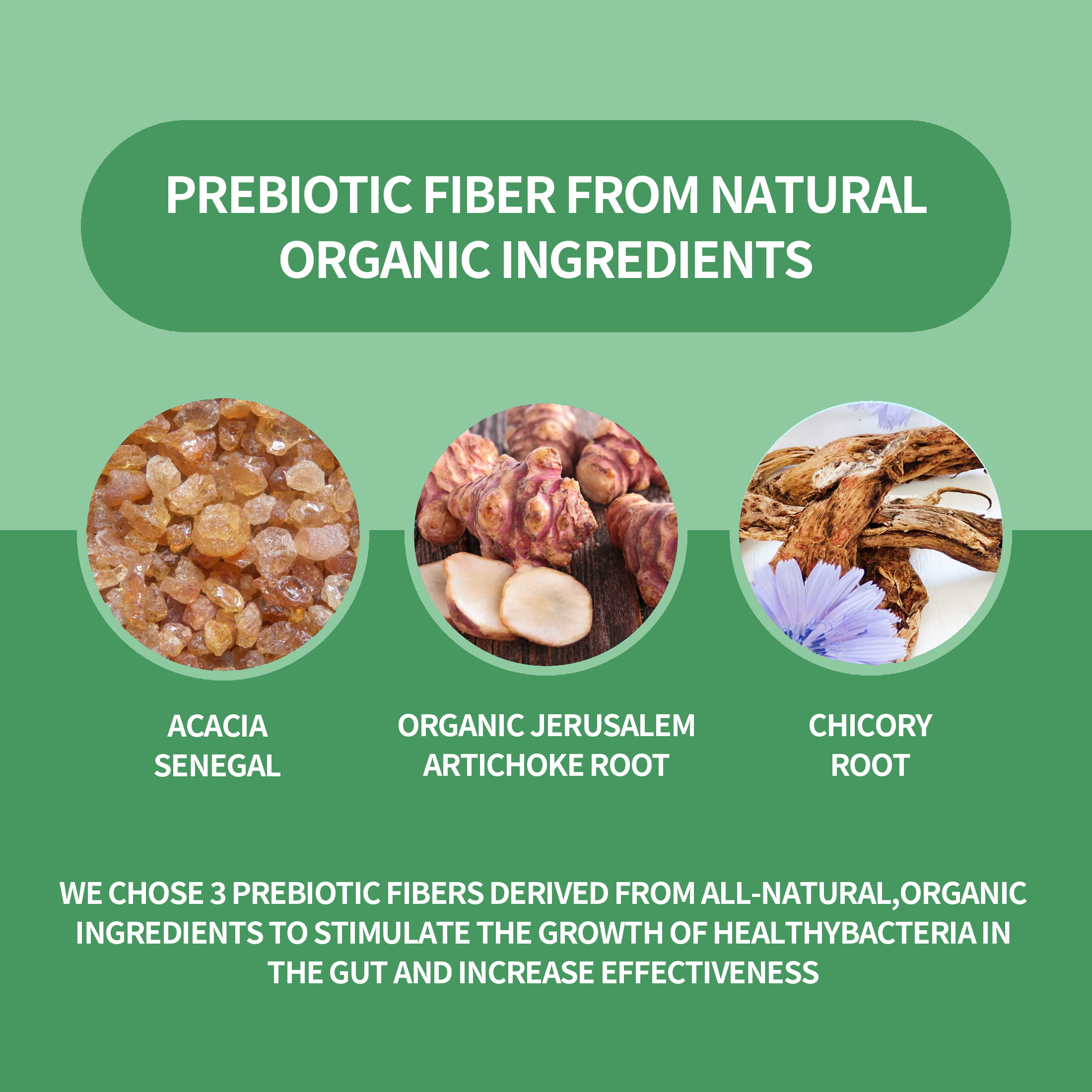 Casei, Bifidobacterium Longum,lactis, Infantis. Probiotic Prebiotic, Pre AndProbiotics for Digestive Health